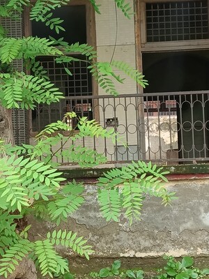 2 BHK Villa For Sale in Sector 3 Greater Noida