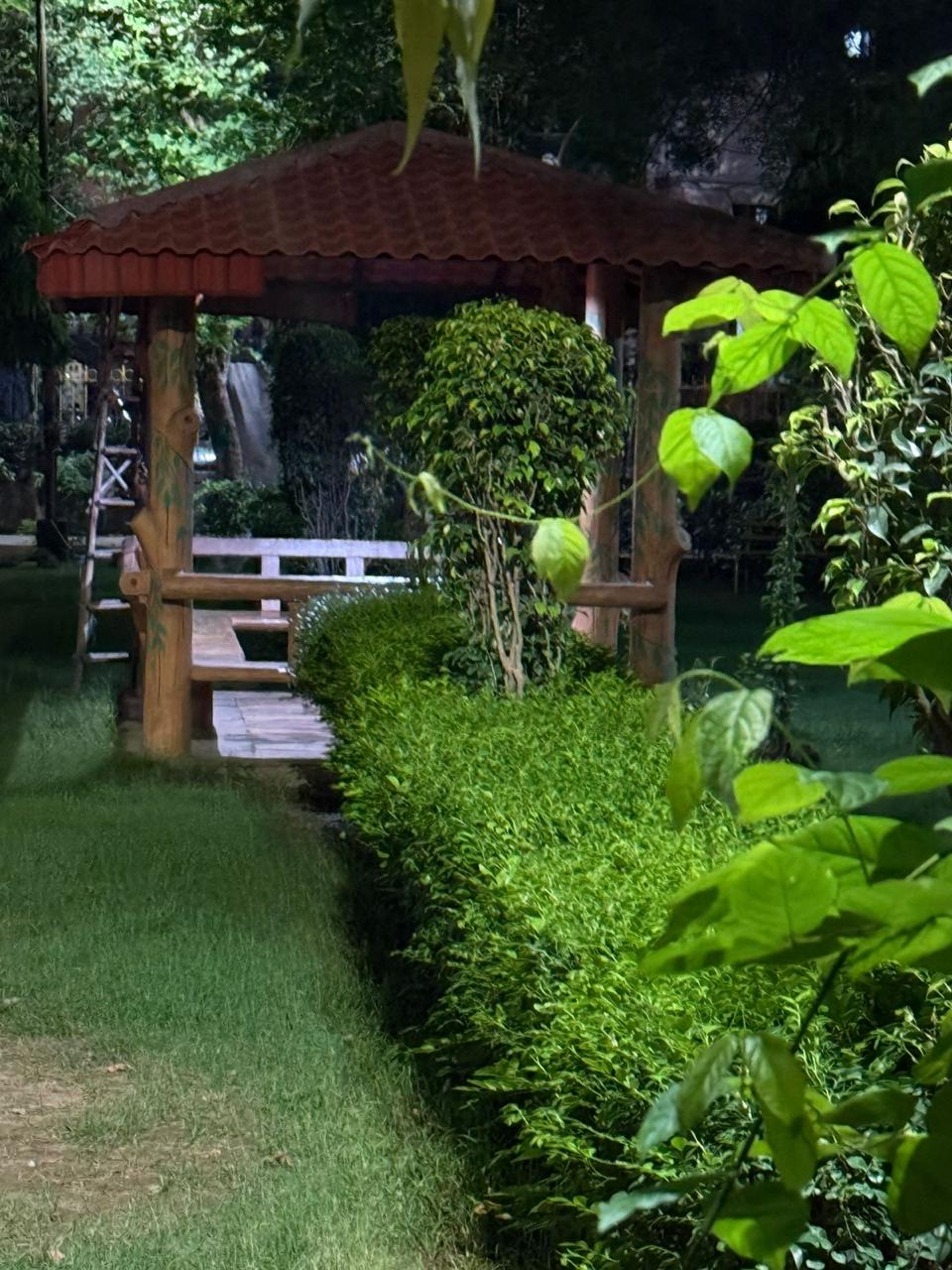 2 BHK Builder Floor For Rent in Nehru Enclave 