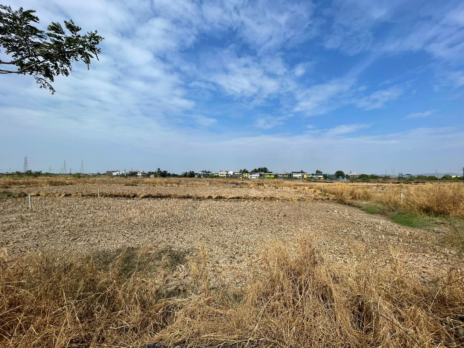 Plot For Sale in Avani Plots 