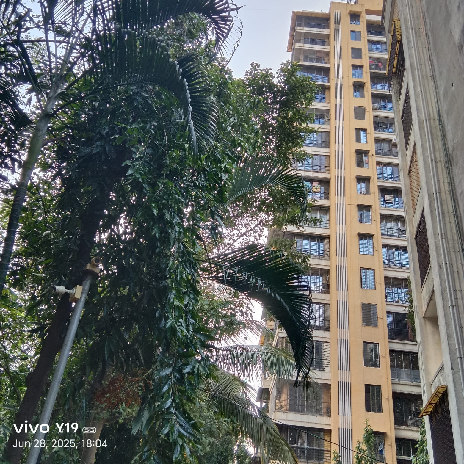 1 BHK Apartment For Sale in Sanghvi Exotica