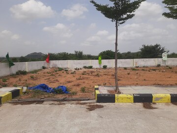  Plot For Sale in Nemarugomula