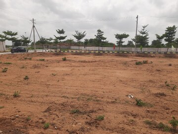 Plot Area in  Plot at Nemarugomula – for Sale