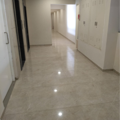 3 BHK + Pooja Room Apartment For Sale in VTP Cielo