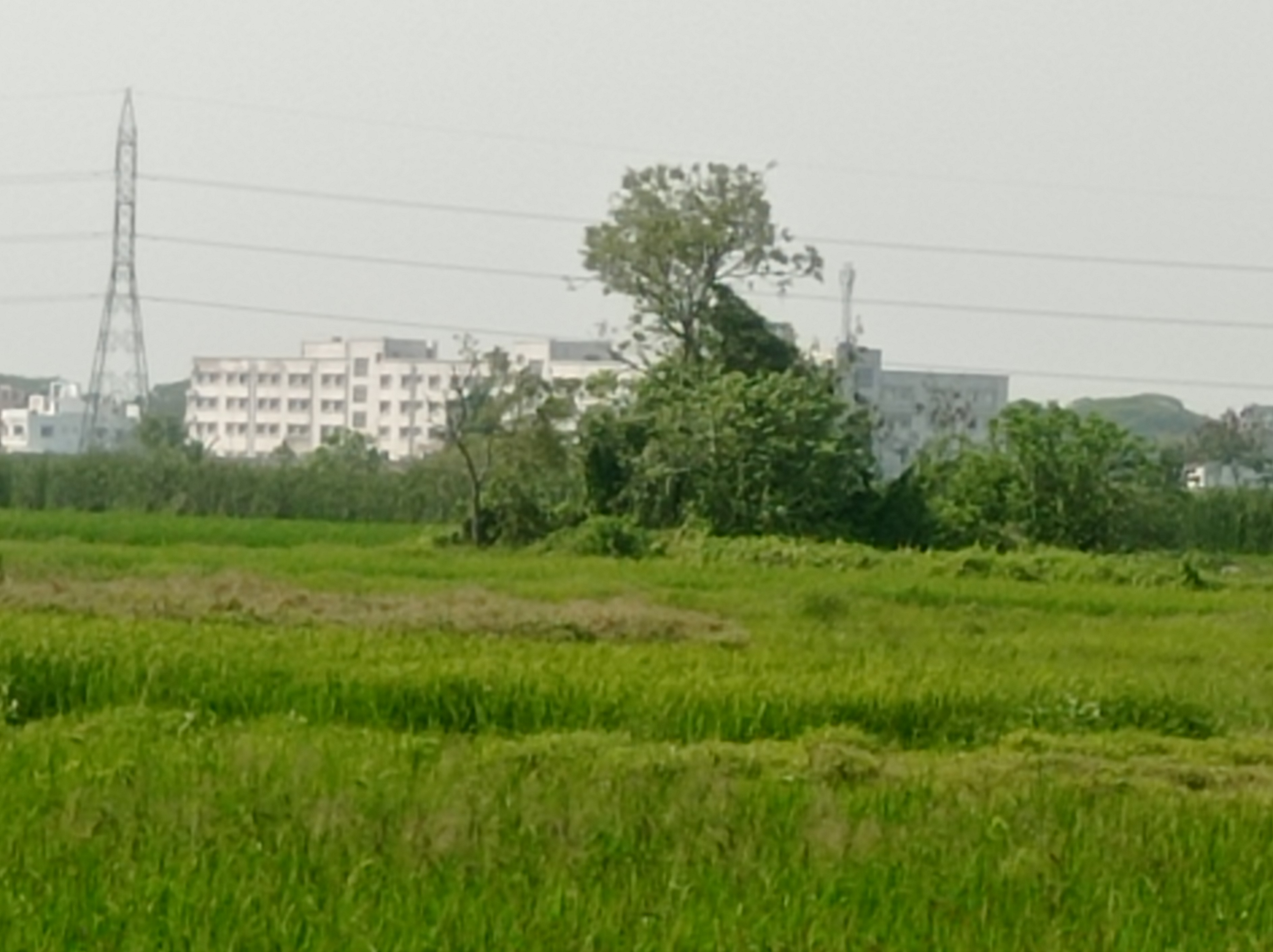 Plot For Sale in Shivolok City 