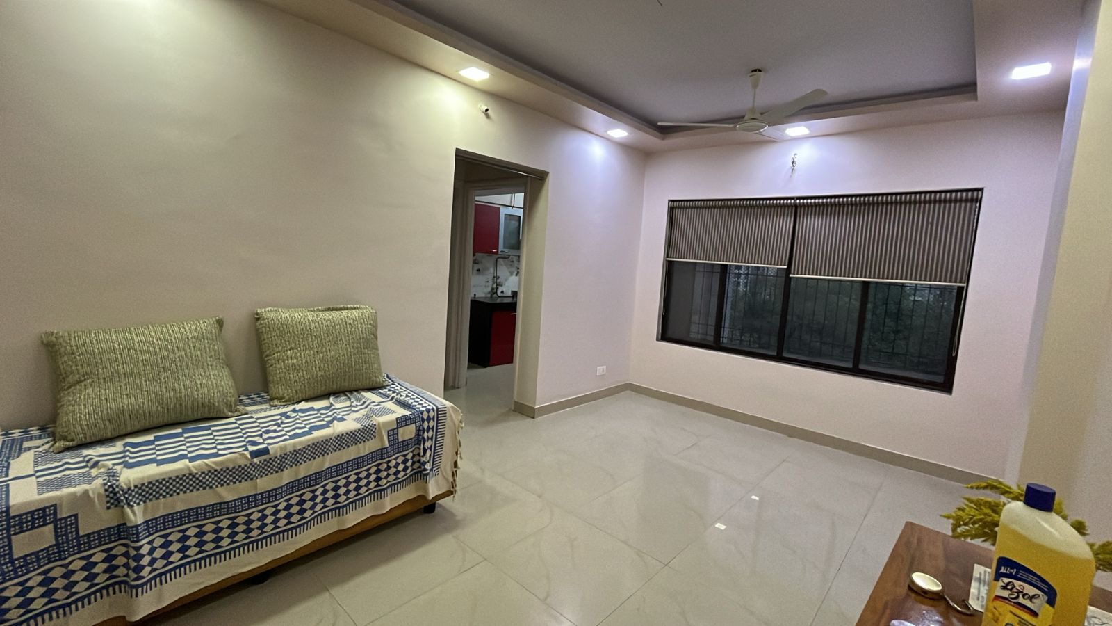 1 BHK Apartment For Rent in Lok Vruksha Phase I