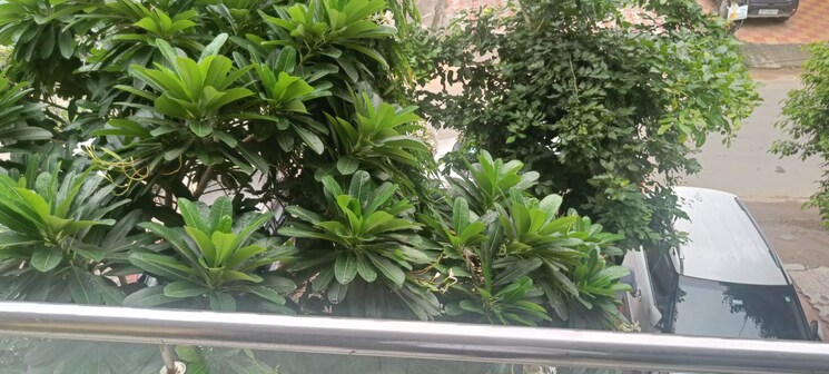 Balcony, panchsheel-greens 2 Bedroom 726 Sq.Ft. Apartment In Sector 16 Greater Noida Greater Noida 9064390