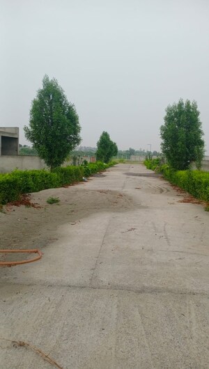 Plot Area in  Plot at Sector 29 Yamuna Expressway – for Sale