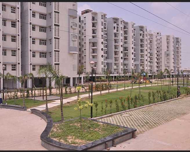 3 BHK Apartment For Rent in Shiv Sai Ozone Park