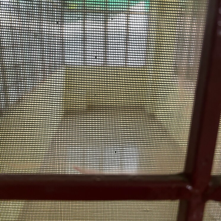 Room, rwa-jalvayu-vihar-noida 2 Bedroom 1000 Sq.Ft. Apartment In Sector 25 Noida 9064626