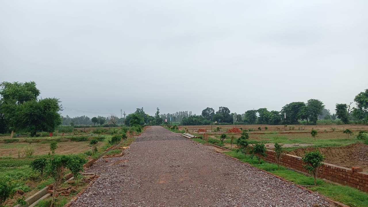 Plot For Sale in Sector 143