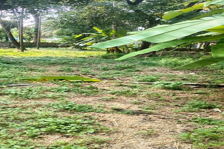 undefined, punkunnam  4356 Sq.Ft. Plot In Punkunnam Thrissur 9064687