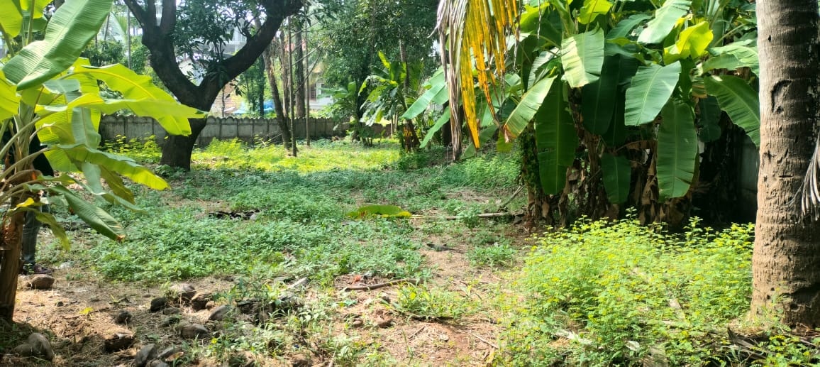 Plot For Sale in Punkunnam