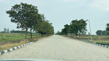 Plot Area in  Plot at Sector 78 – for Sale