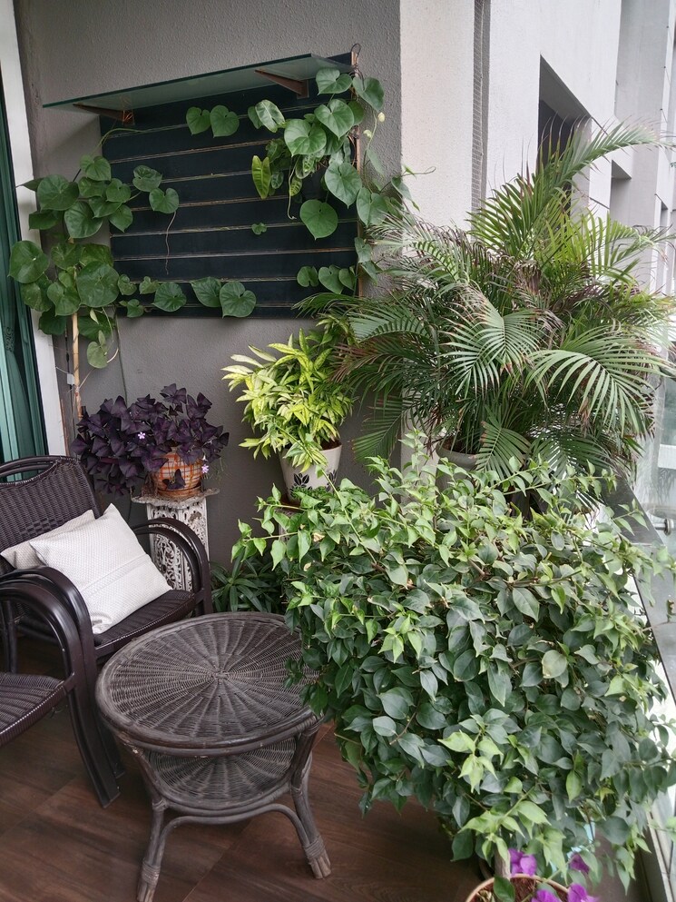 Exterior View, windsor-grande-residences 4 Bedroom 2300 Sq.Ft. Apartment In Andheri West Mumbai 9065225