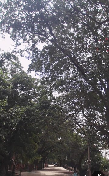  Plot – Garden View at Koramangala - for Sale