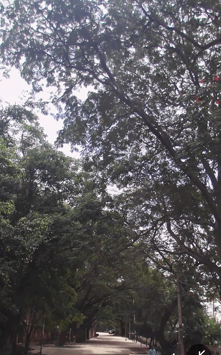 Garden, koramangala  9700 Sq.Ft. Plot In Koramangala Bangalore 9065024