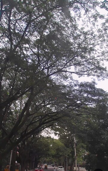  Plot – Garden View at Koramangala - for Sale