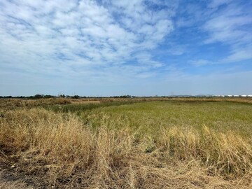 Plot Area in  Plot at Vindhane – for Sale