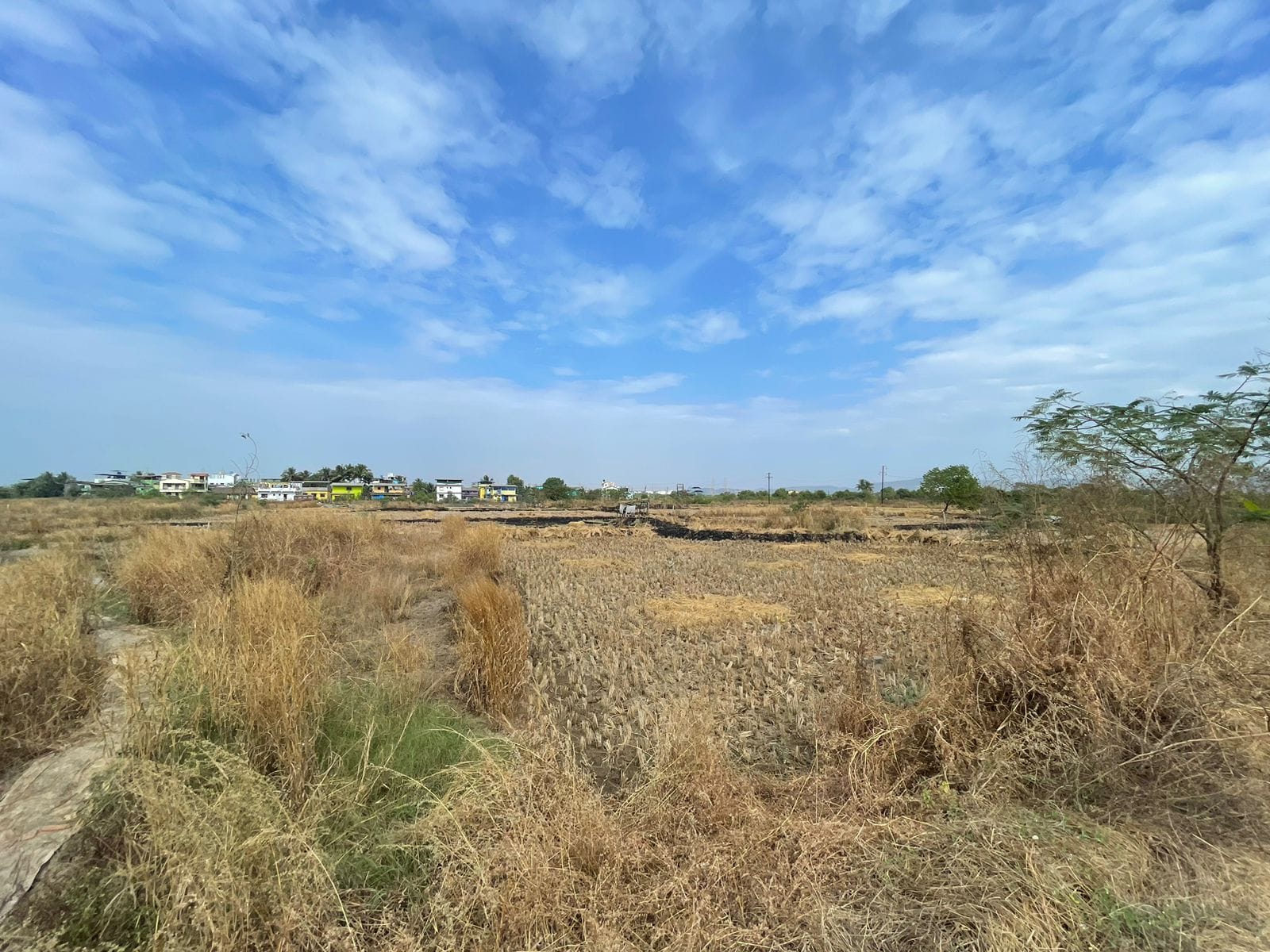 Plot For Sale in Avani Plots