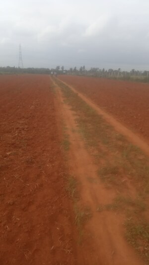 Plot Area in  Land at Rajanukunte – for Sale