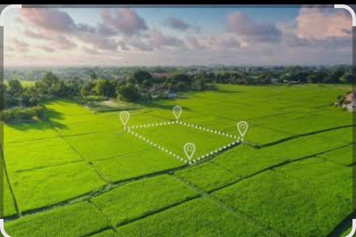 Plot For Sale in Best City Layout