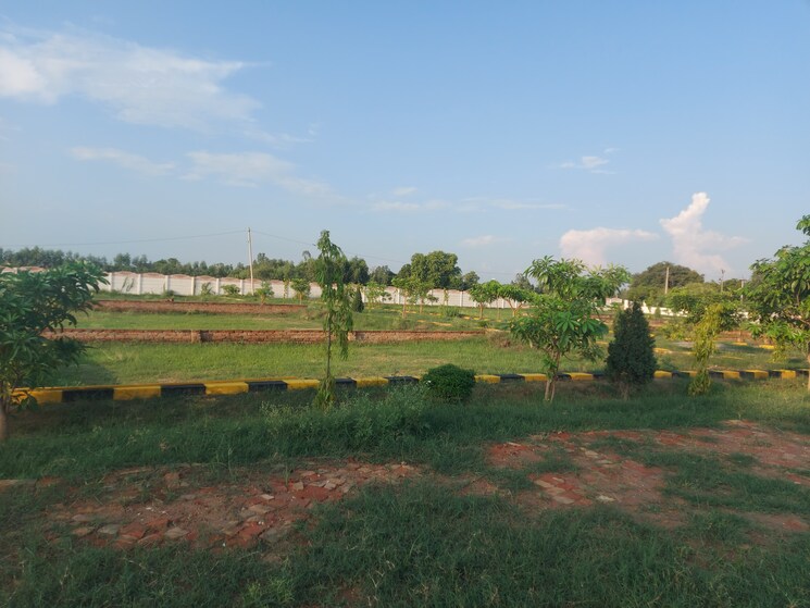 undefined, kalli paschim  1000 Sq.Ft. Plot In Kalli Paschim Lucknow 9065757