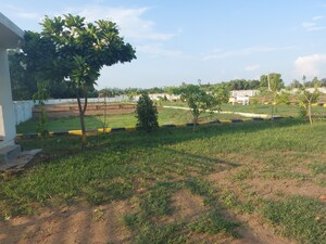 Plot Area in  Plot at Kalli Paschim – for Sale