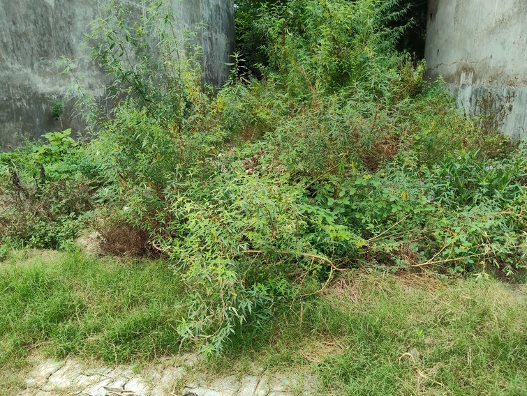 Cover Image, sharda nagar  1744 Sq.Ft. Plot In Sharda Nagar Lucknow 9066125