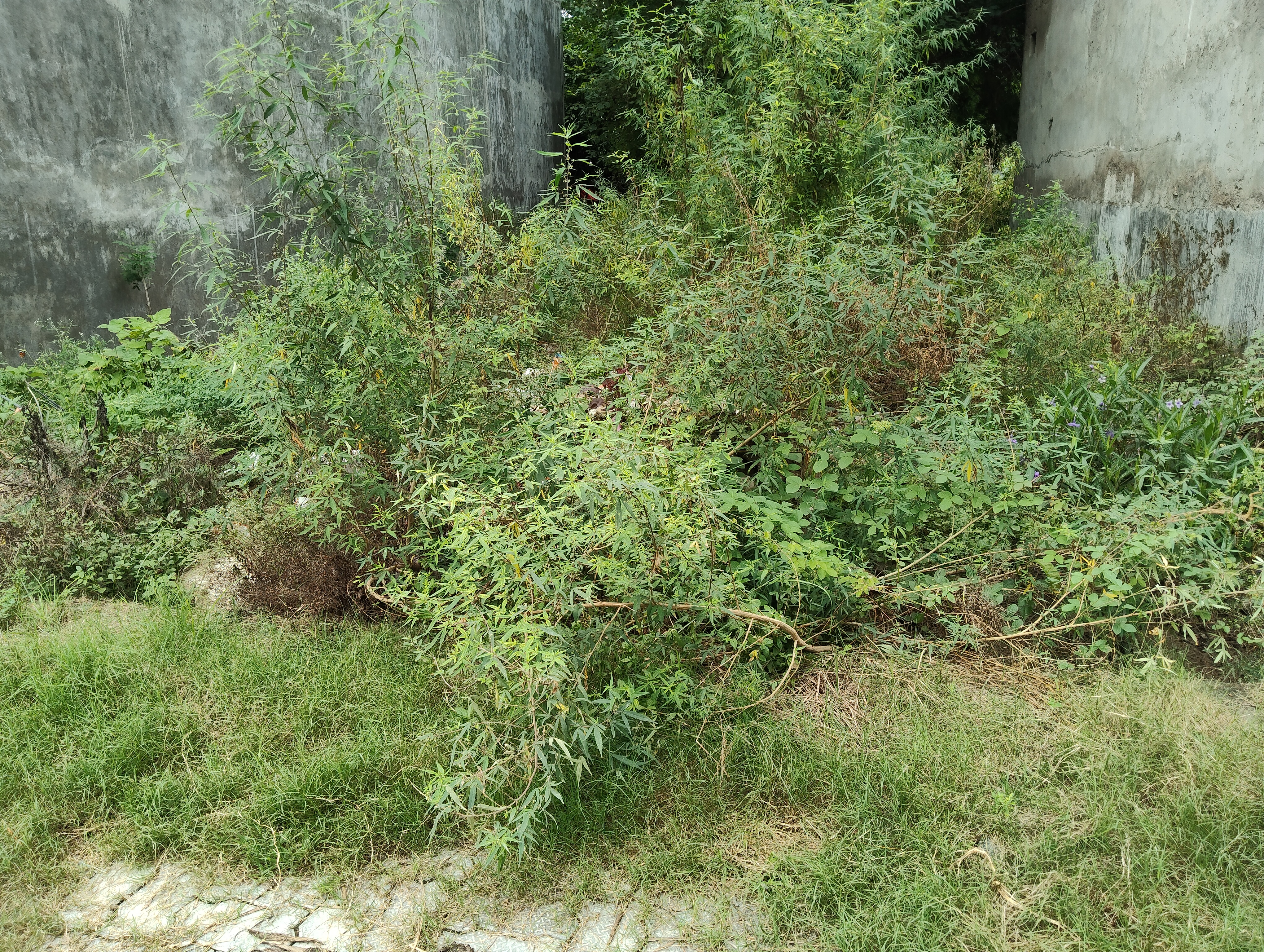 Plot For Sale in Ratan Khand 30 Fit Road 