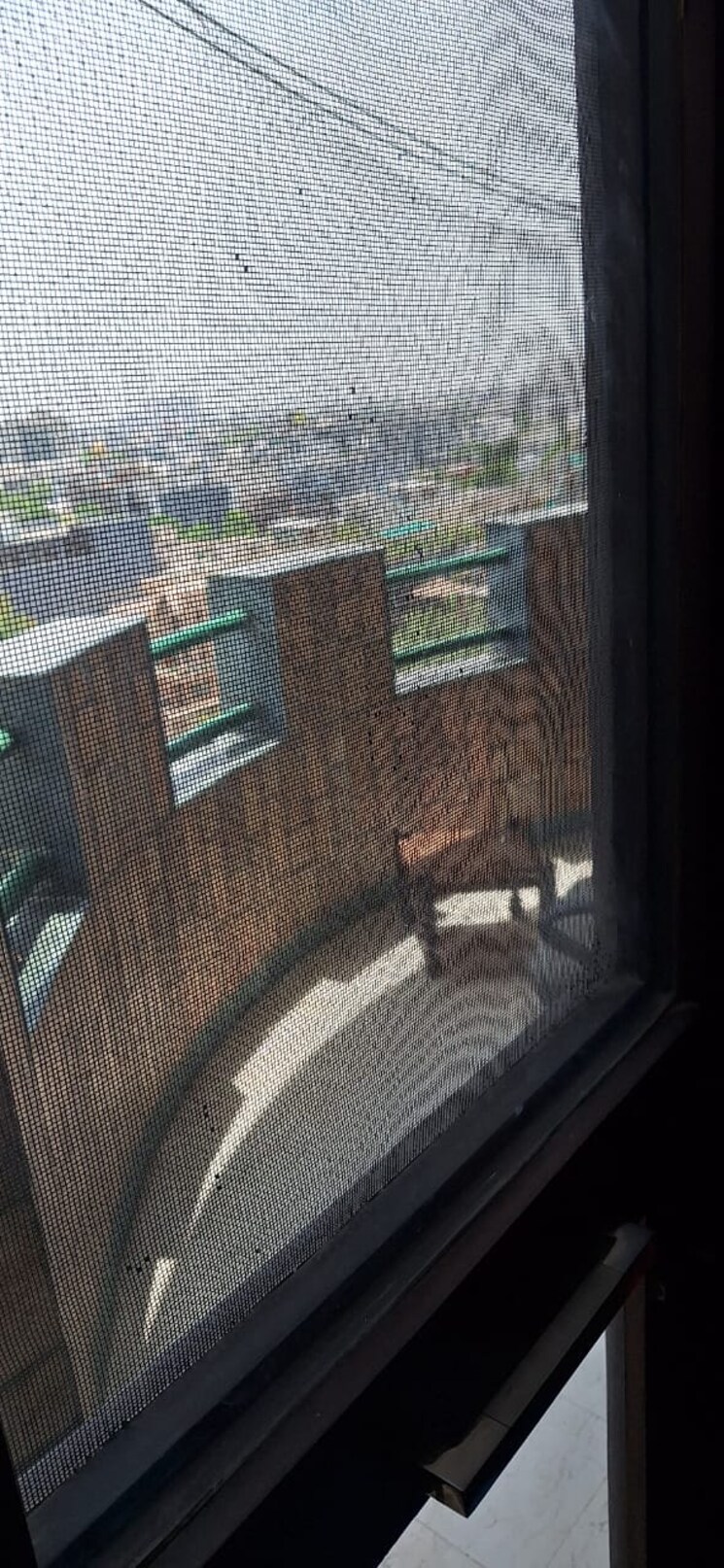 Living Room, unitech-palms 3 Bedroom 2100 Sq.Ft. Apartment In South City 1 Gurgaon 9066156