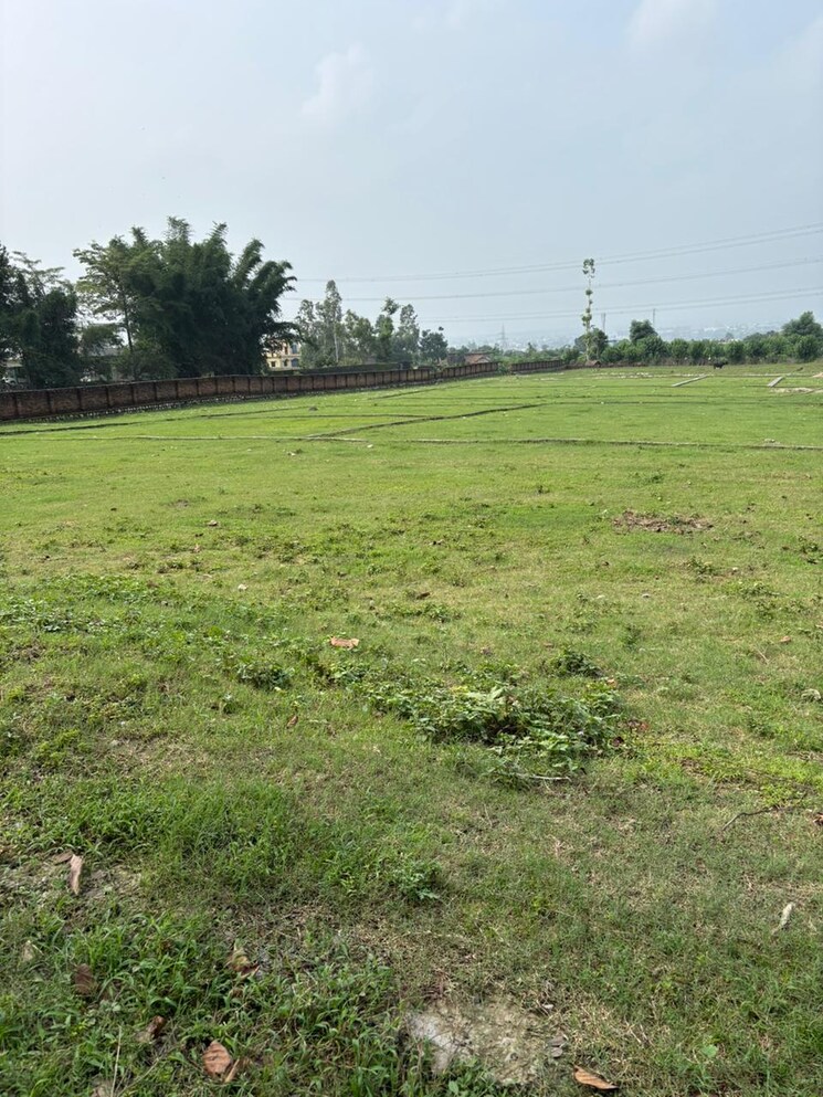 undefined, sherpur  305 Sq.Yd. Plot In Sherpur Dehradun 9066196