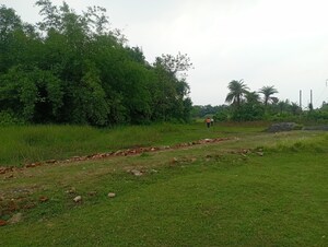 Plot Area in  Plot at Amtala – for Sale