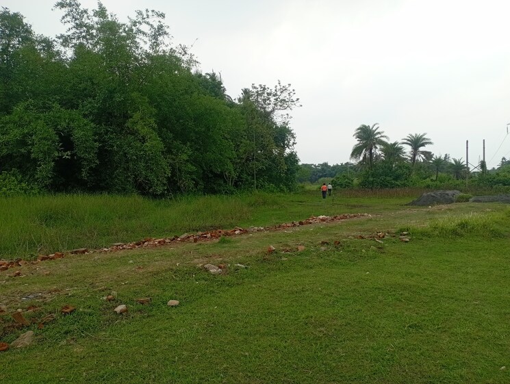 undefined, amtala  1440 Sq.Yd. Plot In Amtala Kolkata 9066501