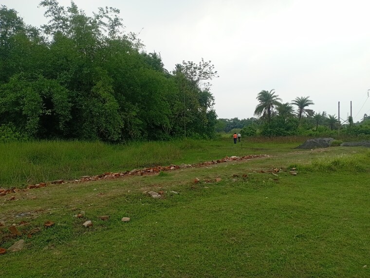 undefined, amtala  1440 Sq.Yd. Plot In Amtala Kolkata 9066501