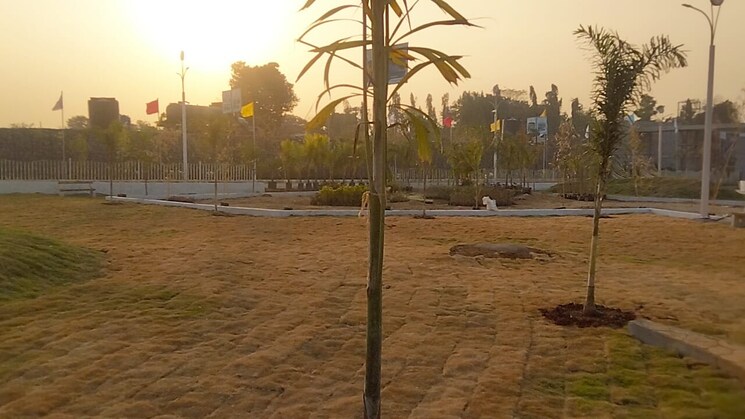 Garden, tonk road  111 Sq.Yd. Plot In Tonk Road Jaipur 9066727