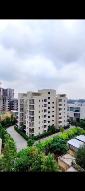 2.5 BHK Apartment For Sale in Godrej 101, Sector 79