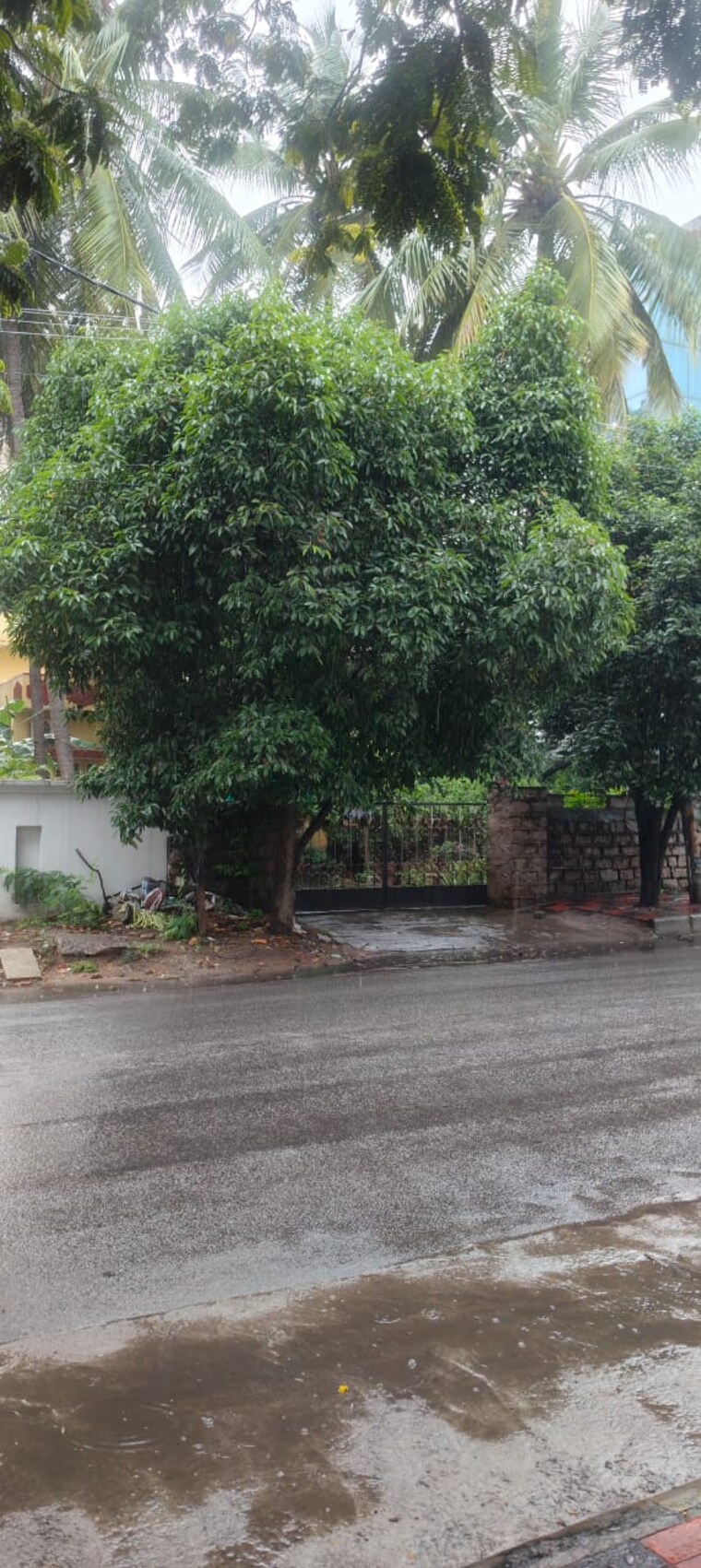 Garden, jubilee hills  590 Sq.Yd. Plot In Jubilee Hills Hyderabad 9066934