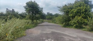 Plot Area in  Plot at Rajendra Nagar – for Sale