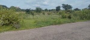 Plot Area in  Plot at Rajendra Nagar – for Sale