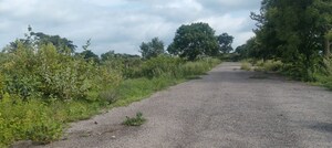 Plot Area in  Plot at Rajendra Nagar – for Sale