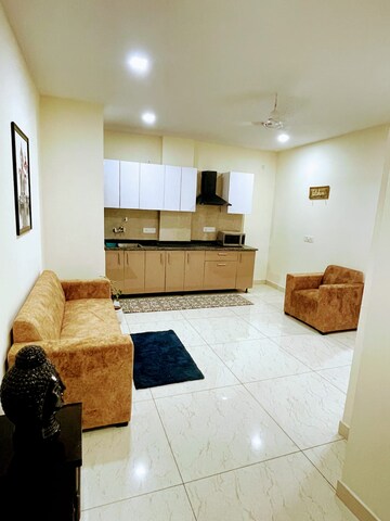 Living Room in 1 RK Independent House at Sector 14 – for Rent