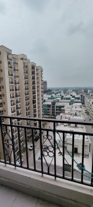 2 BHK Apartment For Rent in Signature Global Prime, Sector 63a