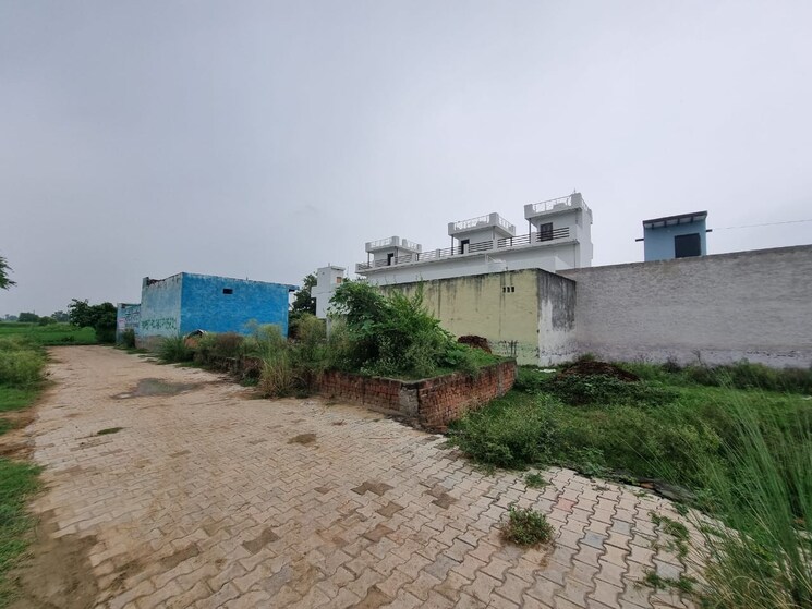 Exterior View, sirsa  100 Sq.Yd. Plot In Sirsa Greater Noida 9067494