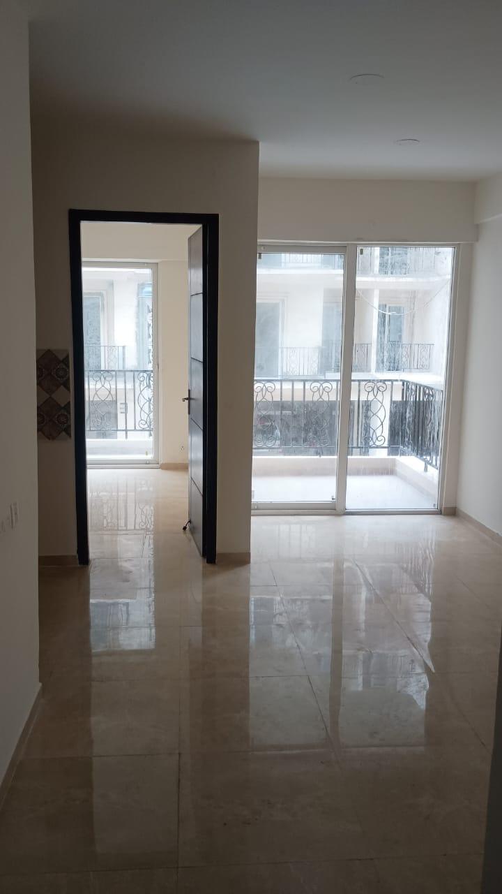 3 BHK 1440 Sq.Ft. Builder Floor in Signature Global Park