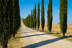 Plot For Sale in Altus Prime