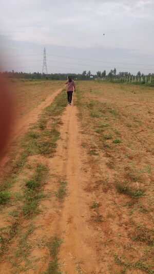 Plot Area in  Plot at Rajanukunte – for Sale