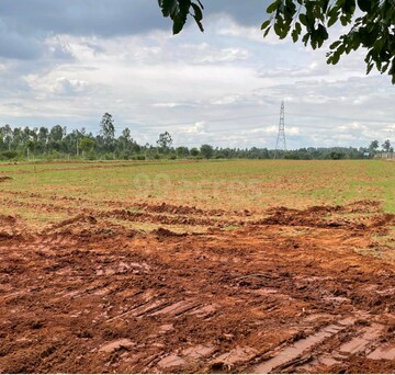 Plot Area in  Plot at Rajanukunte – for Sale