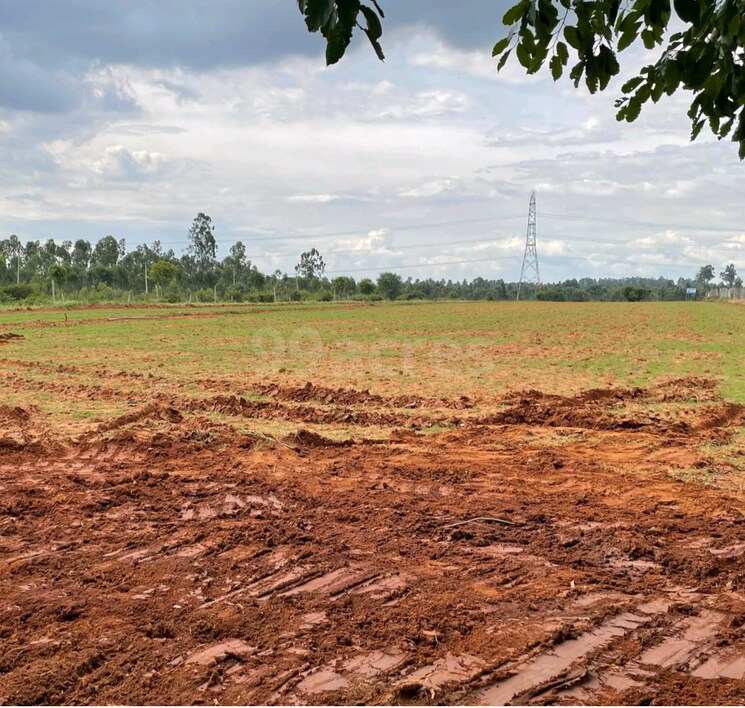 undefined, rajanukunte  4000 Sq.Ft. Plot In Rajanukunte Bangalore 9068000