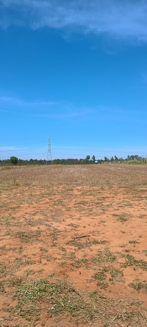 Plot Area in  Land at Marasandra – for Sale
