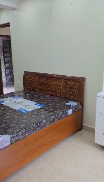 3 BHK Builder Floor For Rent in Sarvapriya Vihar